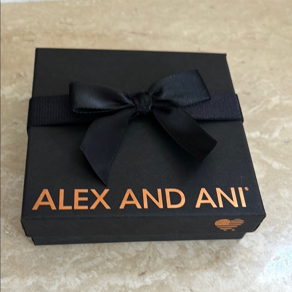 Alex and Ani Silver Expandable Bangle Bracelet - Picture 4 of 4